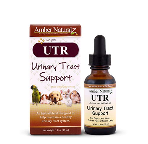 Amber NaturalZ - UTR - Urinary Tract Support - for Petz - 1 Ounce
