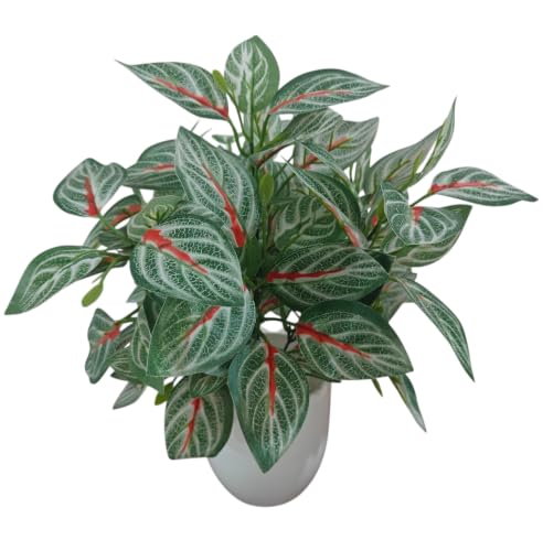 Image of Natural Looking Artificial Money Plant /Tree with Pot | Ornamental Plant for Interior Decor | Home /Shop /Office Decor (Red-Green-New)