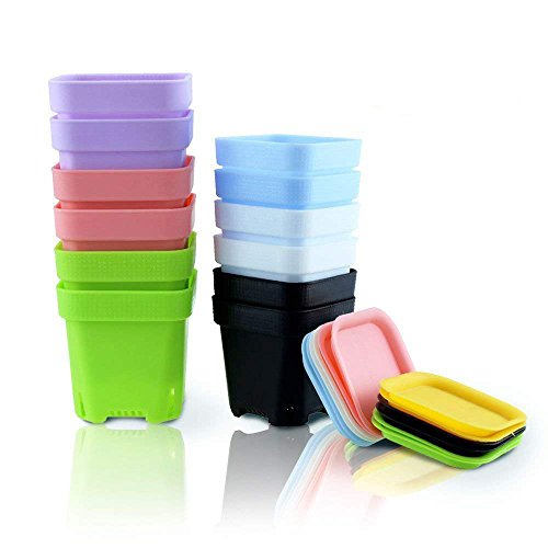 Etmact 24Pcs Thicken Colorful Square Plastic Plant Pot, Flower Pots (12pcs) with Saucers (12pcs) Plant Pots Flower Pots Plant Saucer Plastic Pots Plastic Plant Saucer Flower Pot Saucer