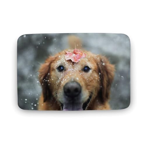 Č  L  oX}bg   z փ}bg  O    ~ Aj LN^[ @}bg   ʏ