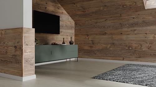 EGGER Winkelleiste Wandverkleidung Decowall WL001 Namur Fichte Natur 2400 x 22 x 45mm