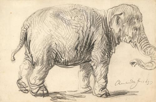 Impression Tableaux Graffiti éléphant Rembrandt mélange classique et moderne