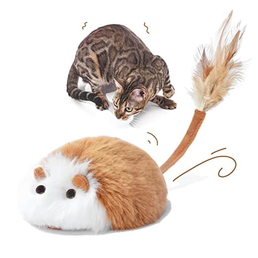 Pawthquake Interactive Cat Toys for Indoor Cats,Automatic Moving Mouse Toy,Electronic Robotic Electric Ball Toy with Feather Wand,USB Rechargeable,Motion Activated,Random Movement,Hunting Simulation