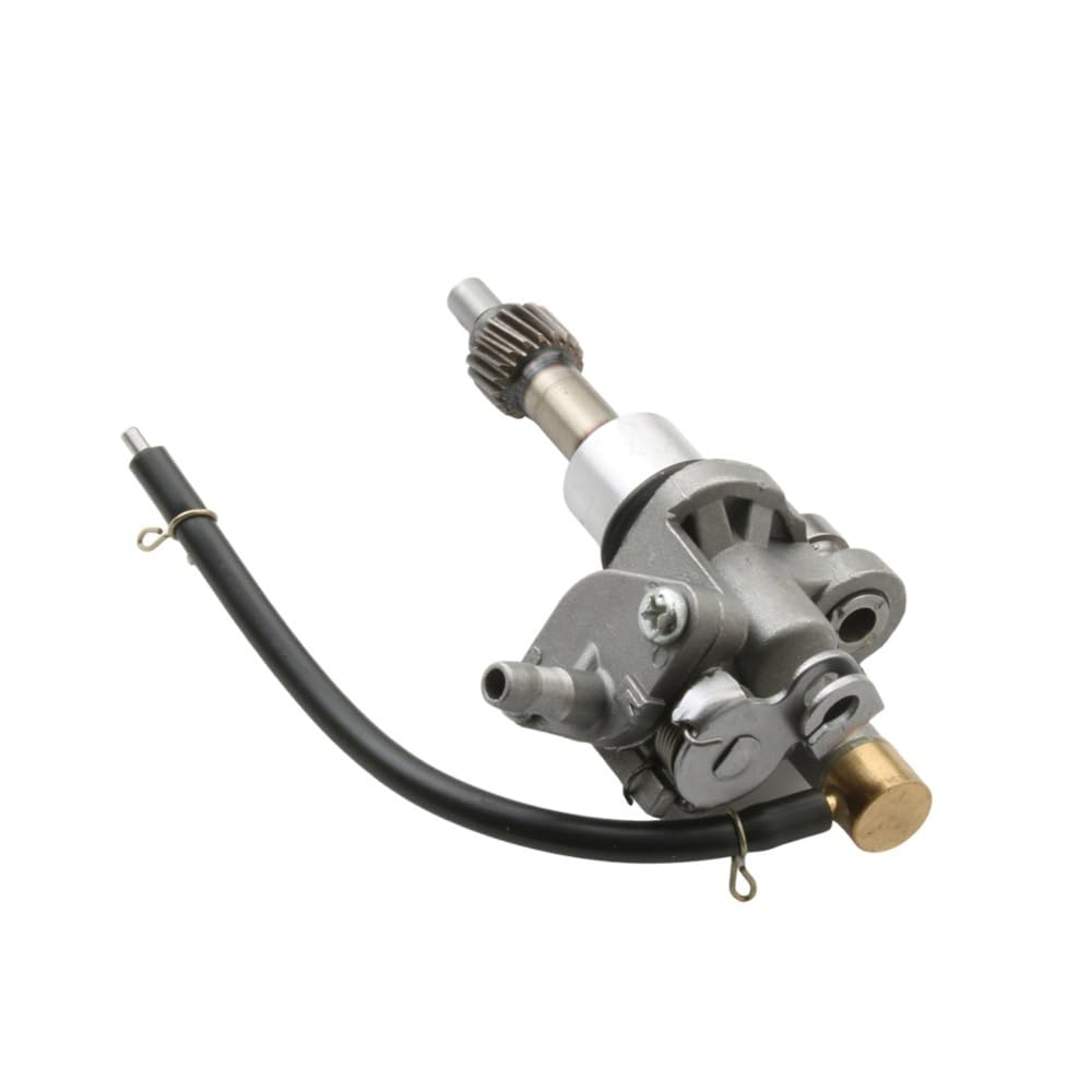 Conjunto de aceite for patinete, apto for Sym 50 DD Fancy Fiddle 1, sin Flash, puro, 50cc, CA de 2 tiempos