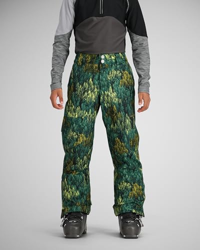 Obermeyer Teen Boys' Brisk Print Pant Backcountree L2