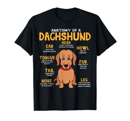 Dachshund Doxie Weenie Anatomy Funny Dog Mom Dad Lindo regalo Camiseta