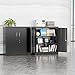 INTERGREAT Metal Storage Cabinet with Locking Doors, Lockable Steel Storage Cabinets with 2 Doors and Shelves, Black Metal Cabinets with Lock, Small Steel Cabinet for Office, Garage, Home, Shop