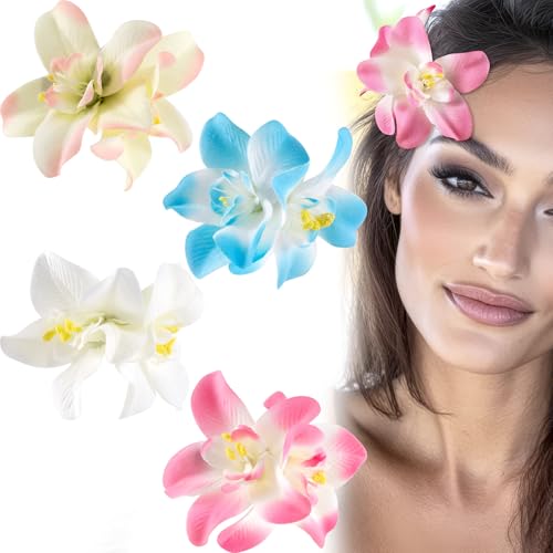 SmallCat nCAt[wANbv4AXC`lHgsJt[NbvAnCrXJXwANbvApt[wAANZT[Ar[`ACӁAEFfBOoP[Vp[eB[(4F)