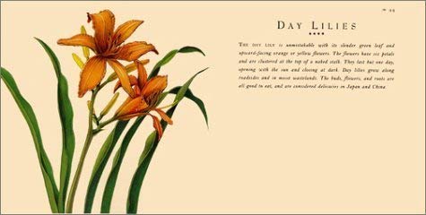 Acorn Pancakes, Dandelion Salad, and 38 Other Wild Recipes Acorn Pancakes, Dandelion Salad, and 38 Other Wild Recipes