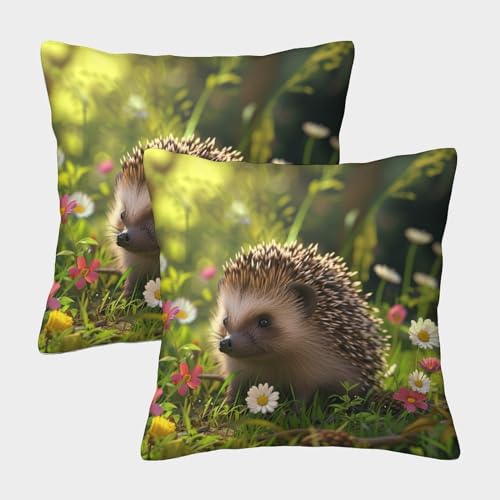 Image of QFVANSIYO Hedgehog Invisible Zipper Pack of 2 Square Cushion Covers Decorative Throw Pillow Cases for Living Room, Bedroom, Sofa 45x45cm