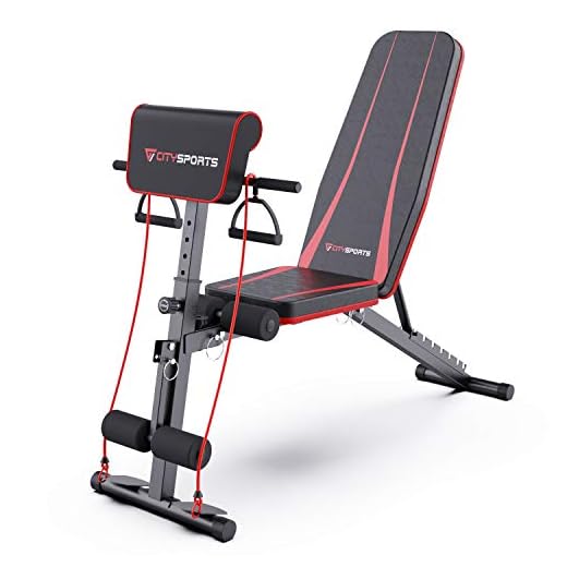 CITYSPORTS Klappbar Heimtraining Fitness, Fitnessbank, Trainingsbank mit Gewichten, Multifunktion Hantelbank Set für Ganzkörpertraining S1 S1-1