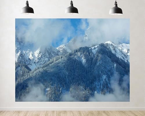 Trykid 10x10ft Frost Pine Mountain Backdrop