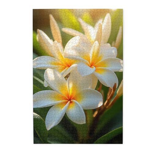 vẢԂƂ炷 ؐpY mpY 1000s[X yQ[ ]`W m猸 q l  Ǌ| a 75×50cm