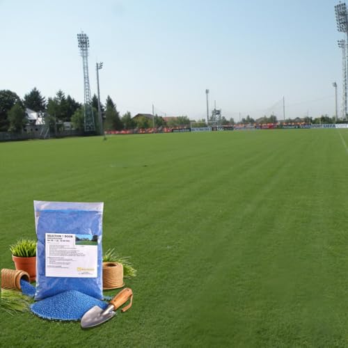Image of Peak Traders Selection 1 Doob Grass Seeds, 1 LB (0.454 KG), Blue Coated with Excellent Turf Quality