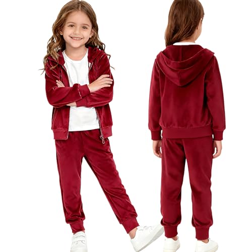 Image of Toddler Girls Boy Clothes Set Fleece Hooded Outfits Casual Sweatsuits Kids Jogger Tracksuits 6M-12Y