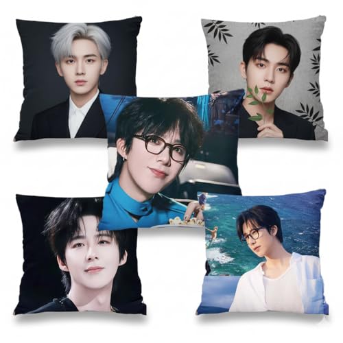 劉宇寧 リウ・ユーニン クッション マスコット ぬいぐるみ 抱きまくら 中国俳優 コレクション ギフト インテリア 柔らかい ふわふわ (45*45cm,C)のサムネイル