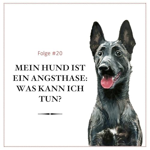 Mein Hund ist ein Angsthase: Was kann ich tun? - #20 Podcast Por arte de portada