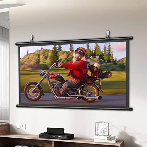 Generic 60 inch Manual Pull Down Projection Screen, 16:9/4:3, 4K 3D HD, White, Glossy, Wall Mountable