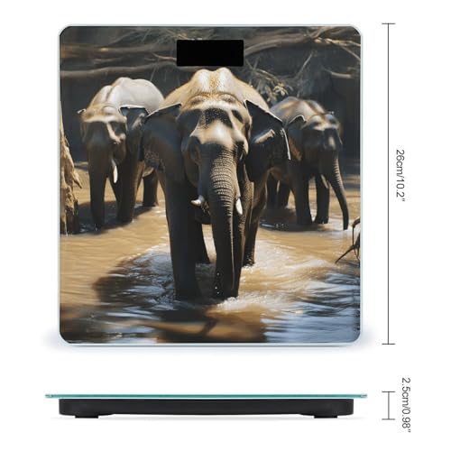 Báscula Digital de Baño Precisa con Vidrio Templado 400 lb miniatura 2