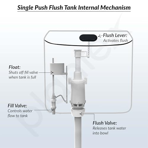 Image of Plantex Single Flushing Cistern for Bathroom /Flush Tank for Toilet with 8 Ltr Water Capacity /Polypropylene Toilet Flush Tank - Pack of 1 (White)