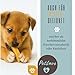 6 Stück PetLove Hartkäse für Hunde • 100% natürlicher Kauknochen aus Käse • Kaukäse Hund • Kauspaß & Zahnpflege • Ideal für unterwegs • 6er Pack • Größe XS: 10-30g