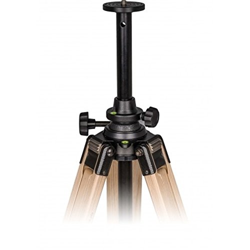 Berlebach Treppiede-Legno Report 843