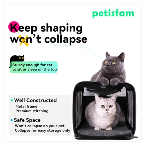 petisfam Soft Pet Carrier Bag for Cats and Puppy Under 20 lbs. Sturdy, Safe, Comfortable and Lightweight - Image 5