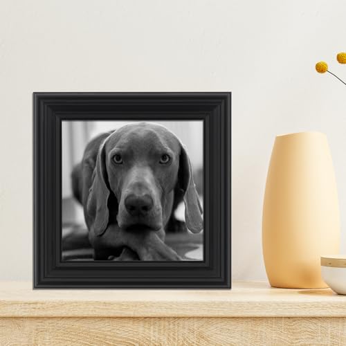 Image of Lawrence Frames Sutter Home Frame, 5x5, Black
