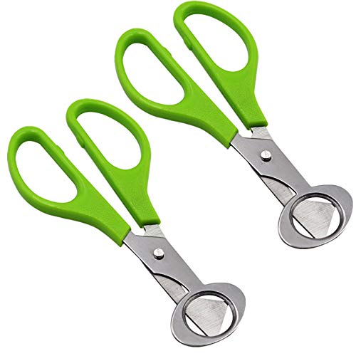 M.Z.A - 2 tijeras para huevos de codorniz, cortador de puros, herramienta de acero inoxidable, tijeras de corte de cáscara de huevo, herramientas de cocina, color verde