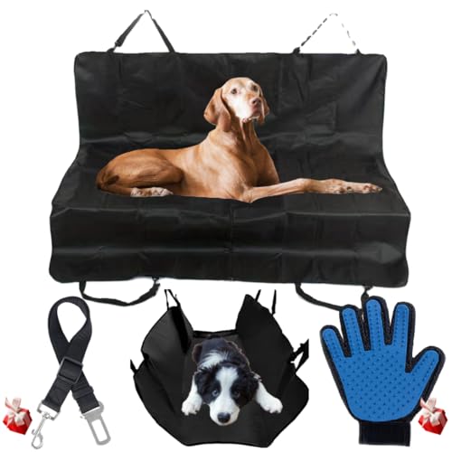 Coprisedile Auto Cani, Telo Macchina Cani, Sedili Posteriori/Bagagliaio, Impermeabile/Antigraffi, Panca/Amaca/Baule, Guinzaglio Cintura di Sicurezza, Guanto Spazzola Togli Peli Cani Gatti Massaggiante