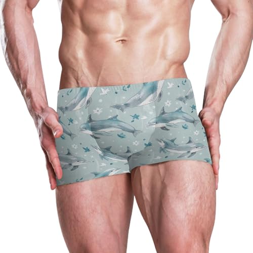 Dolphins Animal Mens Swim Trunk Swimwear Bathing Suit Swim Brief Square Leg Board Short S B04035622