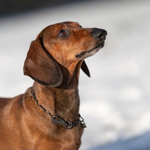 Herm. Sprenger Hundehalskette – Verstellbar, Edelstahl schwarz, 2,0 mm, mit Sprenger-Haken & Durchzugskette – sicher & sanft für Training & Alltag (30 cm)