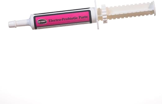 Animal Health Solutions - Electro-Probiotic Paste, Quick and Easy Source of Electrolytes and Probiotics for Stressed Horses (30 Grams)