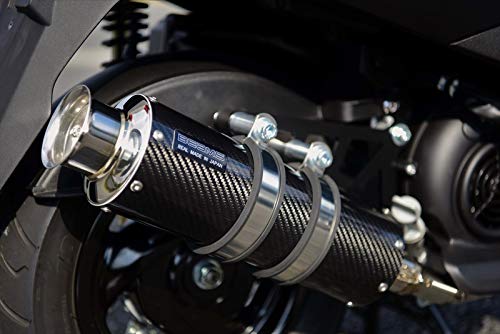 ビームスss300カーボンマフラー アクシスZ用　SED7J Amazon | ビームスモーターカンパニー(Beams Motor Company) SS300