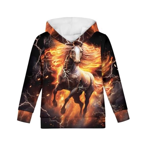 doginthehole Fashion Hoodies for Boys Girls Kids Youth Hooded Pullover Long Sleeve Sweatshirts Cute Animal Graphic