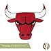 Desert Cactus Chicago Bulls NBA Officially Licensed Sticker Vinyl Decal Laptop Water Bottle Car Scrapbook (Individual 4)