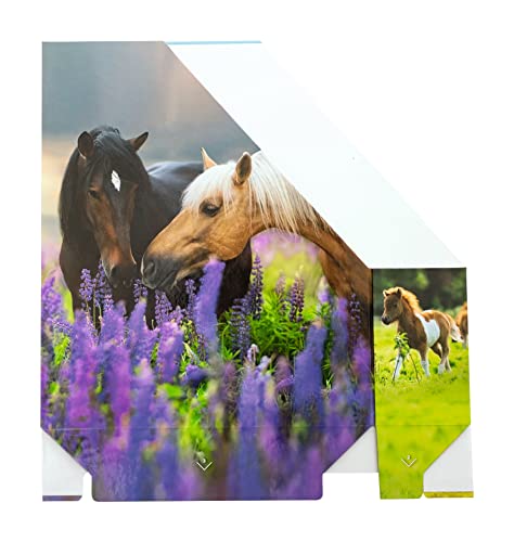 Image of HERMA 19718 Magazine File A4 with Horses Motif, 7.5 cm Wide, Foldable, Sturdy Cardboard, Slim Magazine Holder for Girls and Boys, Standing File for Storing Documents, Documents, Folders