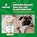 NaturVet - No Scoot for Dogs - Plus Pumpkin - Supports Healthy Anal Gland & Bowel Function - Enhanced with Beet Pulp & Psyllium Husk (5.4oz Powder)