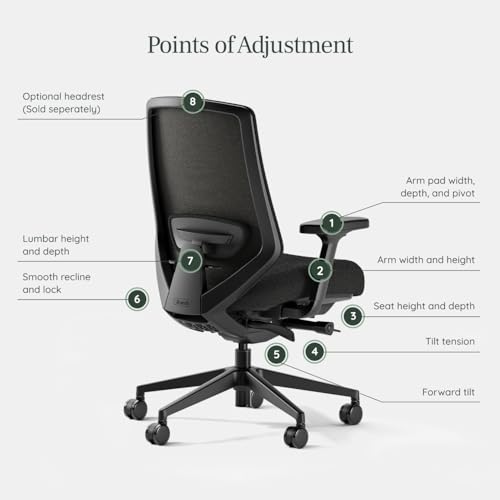 branch ergonomic chair pro