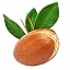 Argan