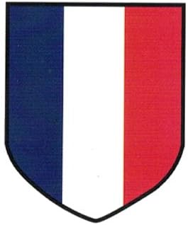 WW2 French Volunteers II Helmet Decal Water Transfer for M35/M38/M40/M42
