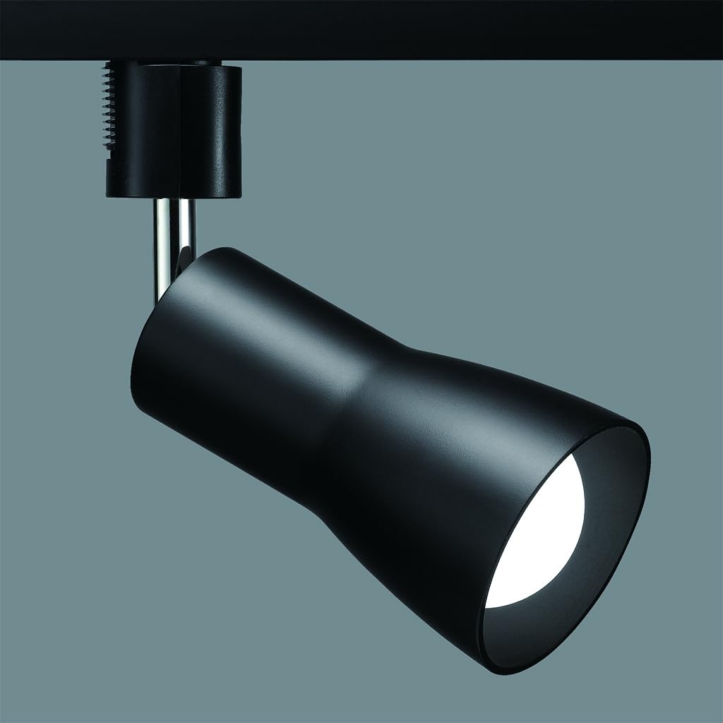 Amazon.co.jp : 【40W相当 485lm / LED電球付属 】 YAZAWA ダクト