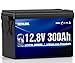 MEYULMOL 12V 300Ah LiFePO4 Lithium Battery, Upgraded 200A BMS System, Up to 15000+ Cycles Life, 3840Wh Rechargeable Lithium Battery with Low-Temp Protection for RV Solar Marine Solar Panel Camping