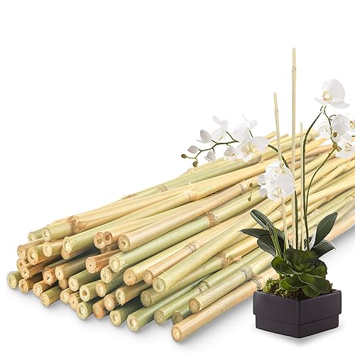 50Pcs / 2ft Bamboo Plant Stakes for Indoor Outdoor Plants, Garden Plant Support Sticks, Poles for Tomato Vegetables Beans Trees Potted Climbing Plants(0.32'')