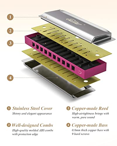 Eastar Major Blues Harmonica Diatonique, 10 Trous C Key Débutant Harmonica pour Enfants Enfants Adultes Étudiants, avec… - Les Beatles, Paul McCartney, John Lennon, RIngo Starr, George Harrison Eastar Major Blues Harmonica Diatonique, 10 Trous C Key Débutant Harmonica pour Enfants Enfants Adultes Étudiants, avec… – Image 5