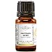 MY COSMETIK - Proteine di riso idrolizzate - Ingrediente attivo cosmetico idratante, emolliente e rinforzante per capelli e pelle - 100% vegetale - 30 ml immagine