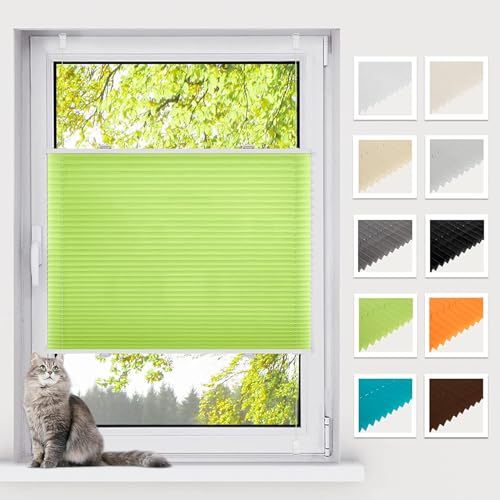 BelleMax Plissee ohne Bohren Klemmfix, Grün 90x130cm(BxH), Easyfix lichtdurchlässig Sichtschutz und Sonnenschutz, Jalousie Plisseerollo mit Klemmträger, Faltrollo für Fenster & Tür BelleMax Plissee ohne Bohren Klemmfix, Grün 90x130cm(BxH), Easyfix lichtdurchlässig Sichtschutz und Sonnenschutz, Jalousie Plisseerollo mit Klemmträger, Faltrollo für Fenster & Tür