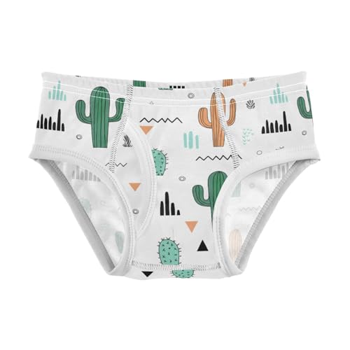 Cactus Toddler Boy's Underwear 2T 202c1629