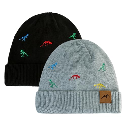 Image of XIAOHAWANG Knit Toddler Beanies Girls Boys Cute Kids Winter Hat Infant Dinosaur Baby Beanie Hats