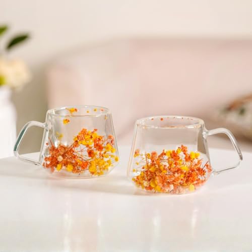 Image of Nestasia Double Wall Glass Mug with Dried Flowers Set of 2 (180ml Each) - Transparent Borosilicate Floral Glass Tea Cups | Lightweight & Durable Coffee Mugs - Perfect for Gifting (Yellow & Orange)